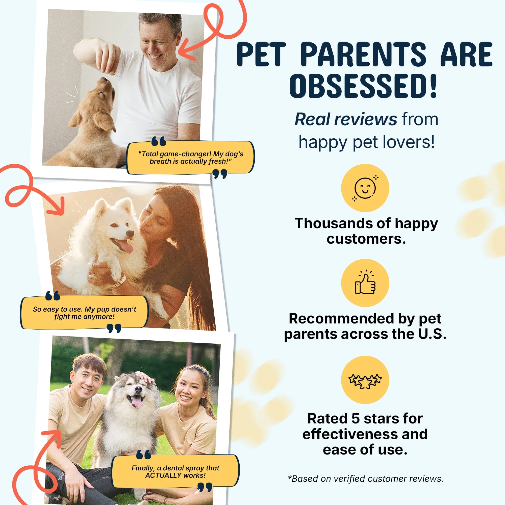 The Pawfect Grooming Kit - Image 7