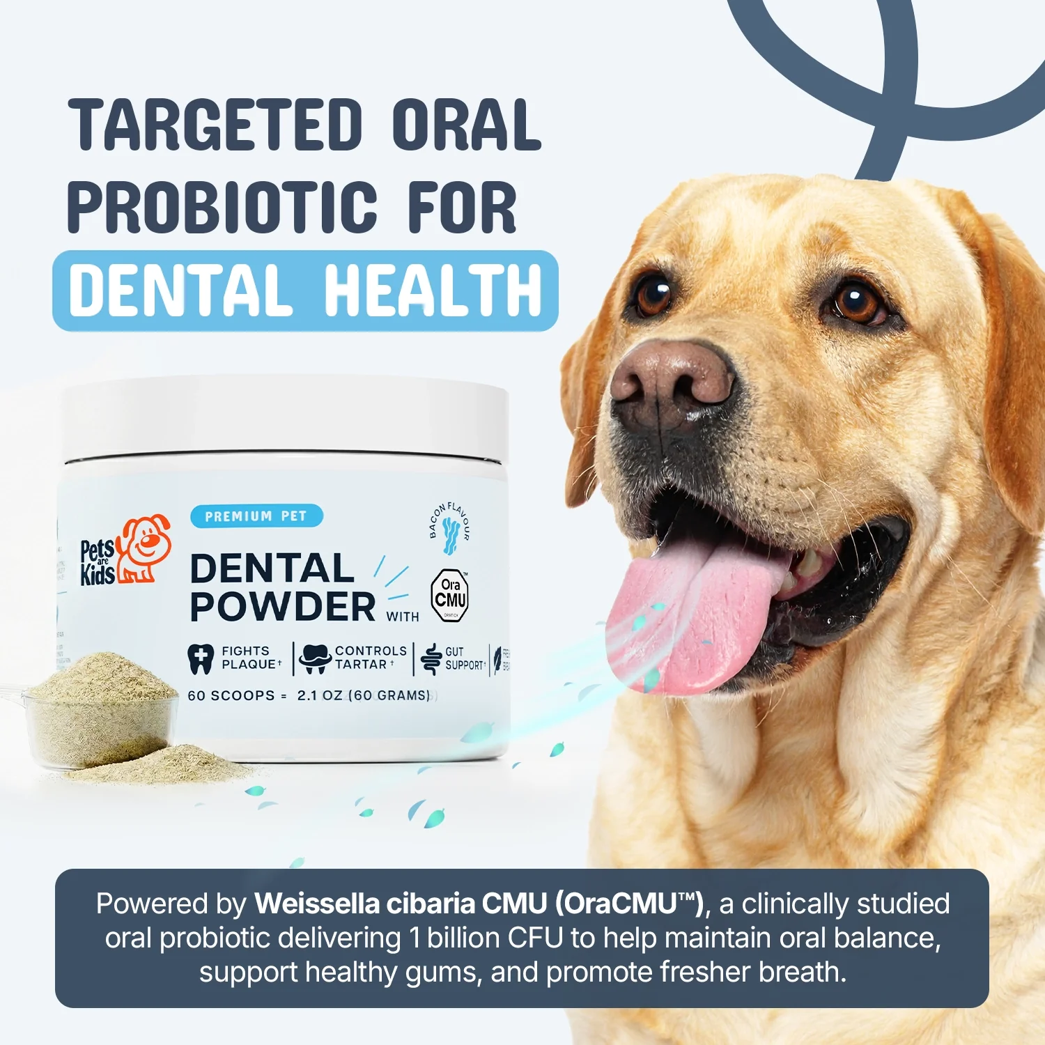 Premium Pet Dental Powder - Image 3