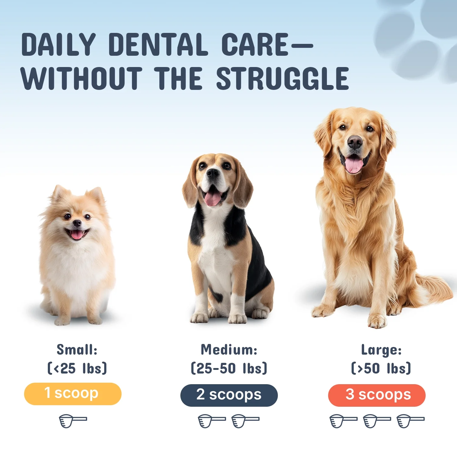Premium Pet Dental Powder - Image 7