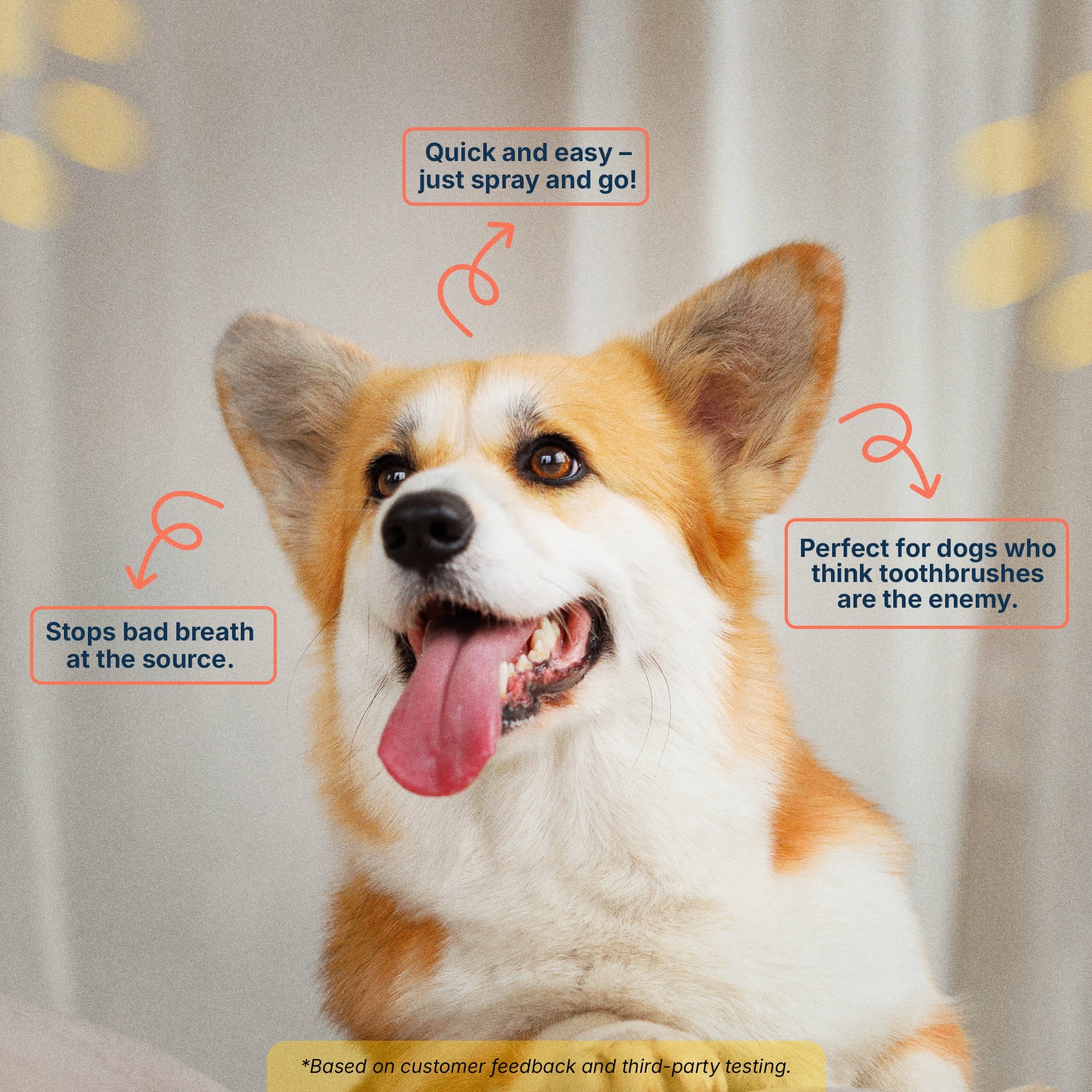 Premium Pet Dental Spray - Image 3