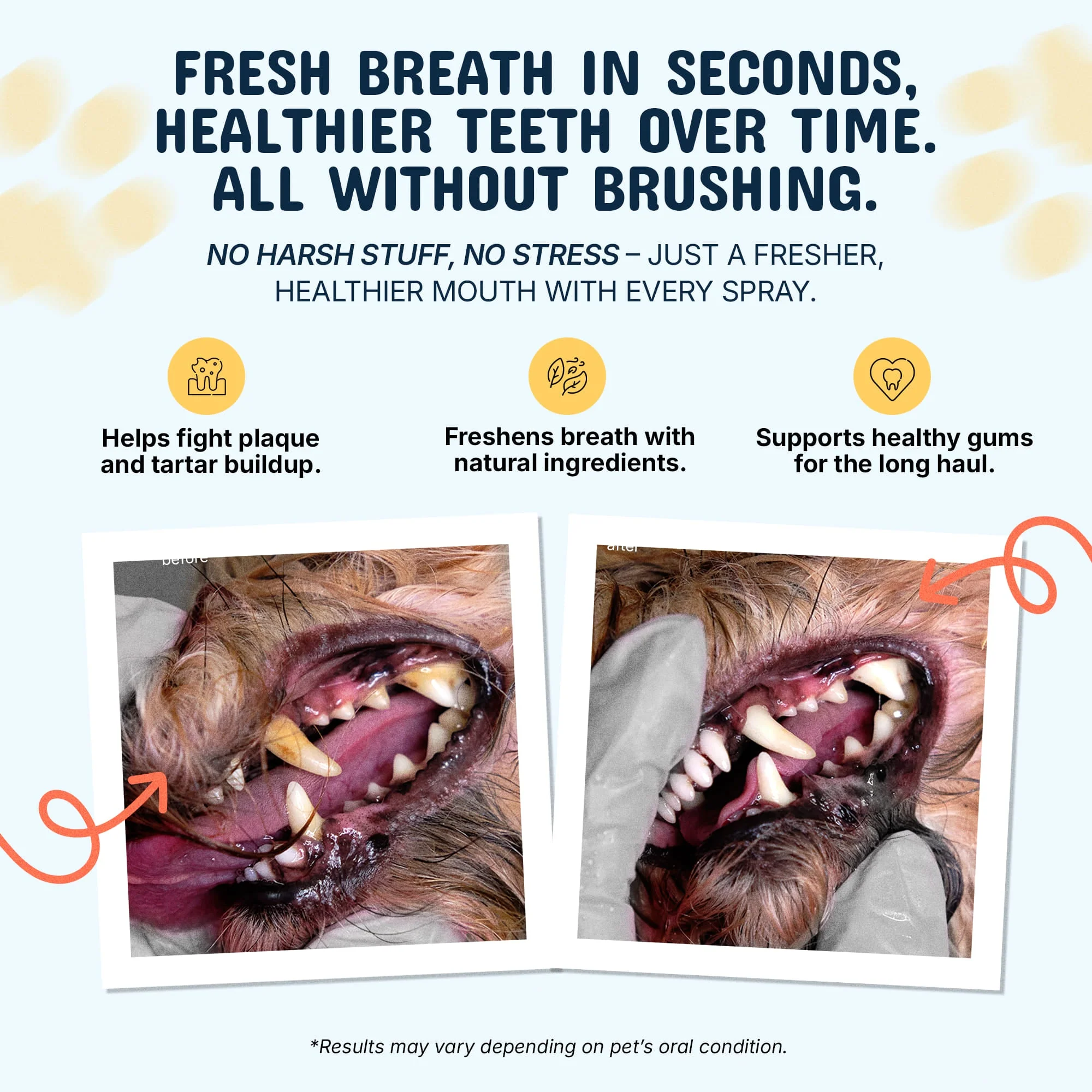 Premium Pet Dental Spray - Image 6